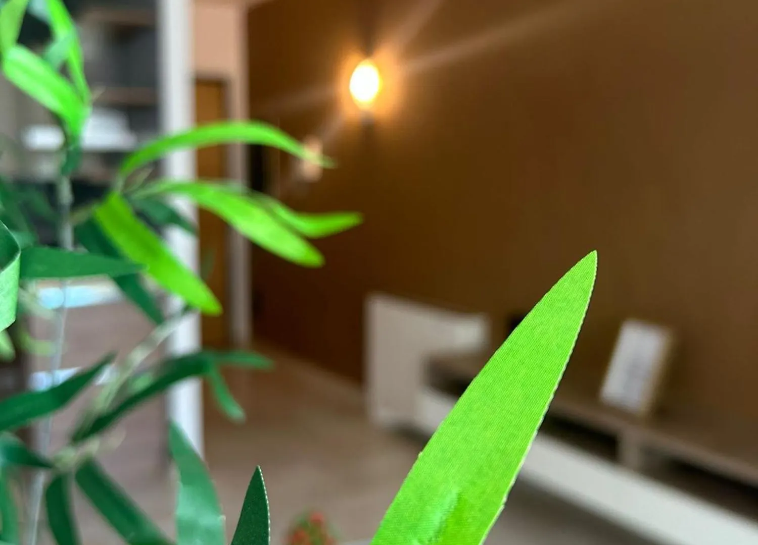 Bed & Breakfast Dina Suite Rome